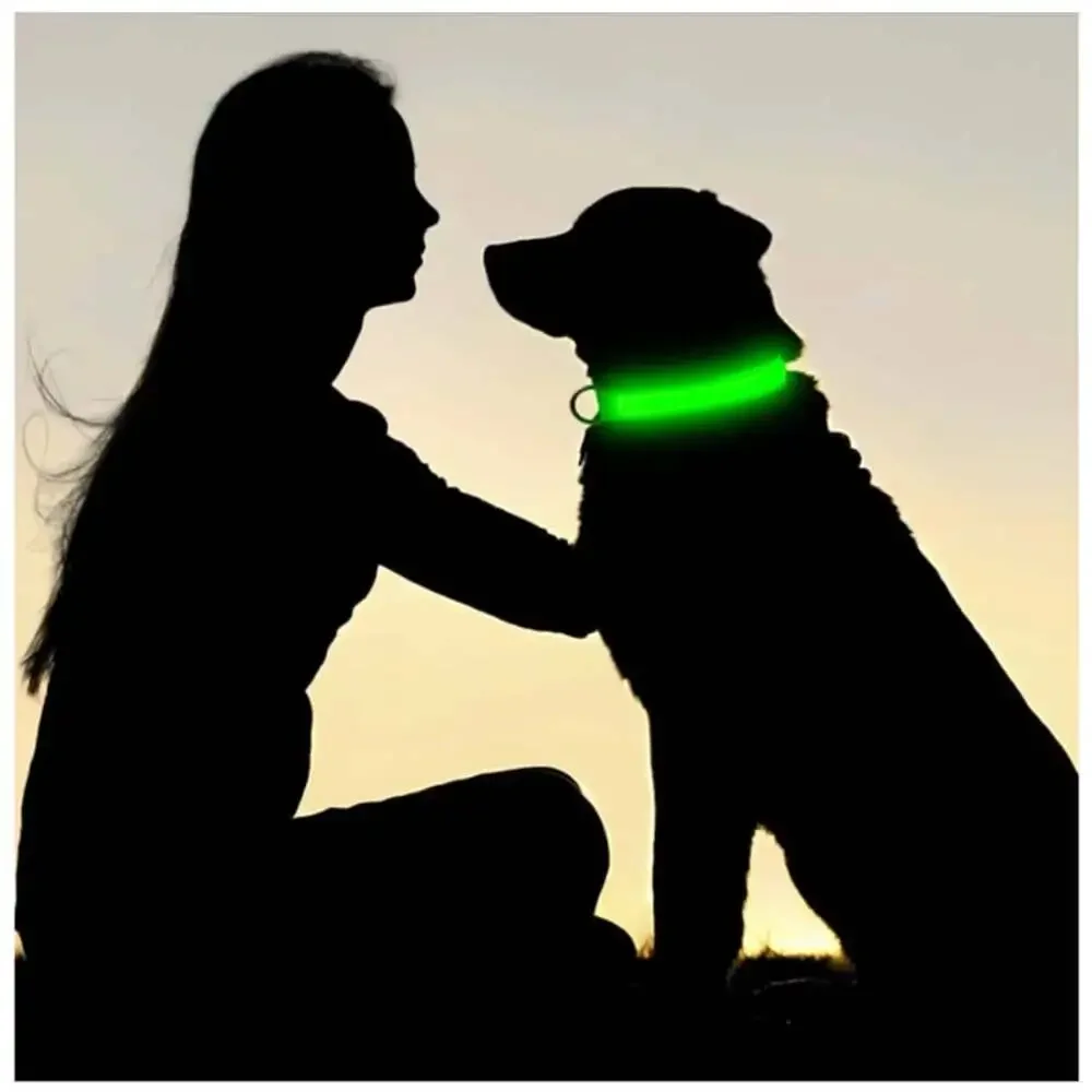 3 Modes Dog Luminous Charge Collar Led Usb Cat Dogs Collars Detachable Night Led